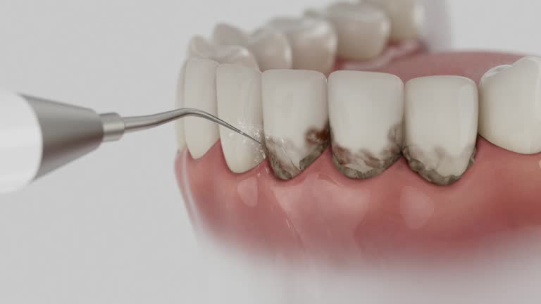 Reliable Dental contractor in Bowie, MD by Dentist Open Now